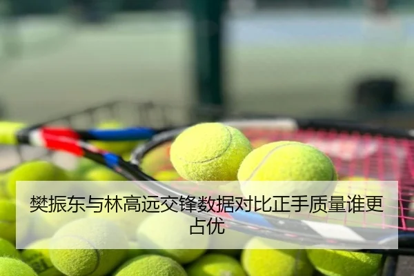 樊振东与林高远交锋数据对比正手质量谁更占优