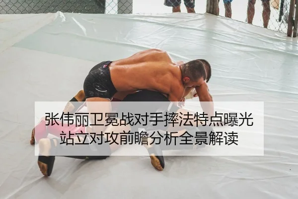 张伟丽卫冕战对手摔法特点曝光 站立对攻前瞻分析全景解读